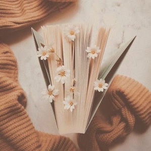 Meet your Posher, Abigail